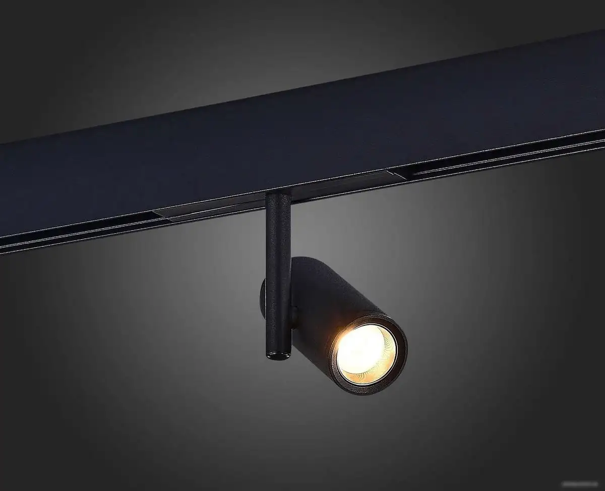 Трековый светильник ST Luce SKYLine 48 ST808.436.08 – фото товара