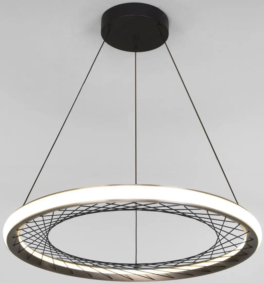 Подвесная люстра Евросвет 40024/1 LED (серый) – фото товара