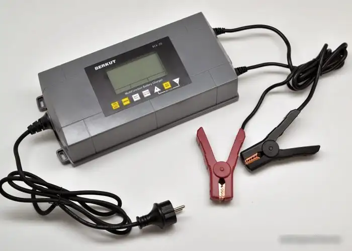 Зарядное устройство Беркут BCA-25 – фото товара