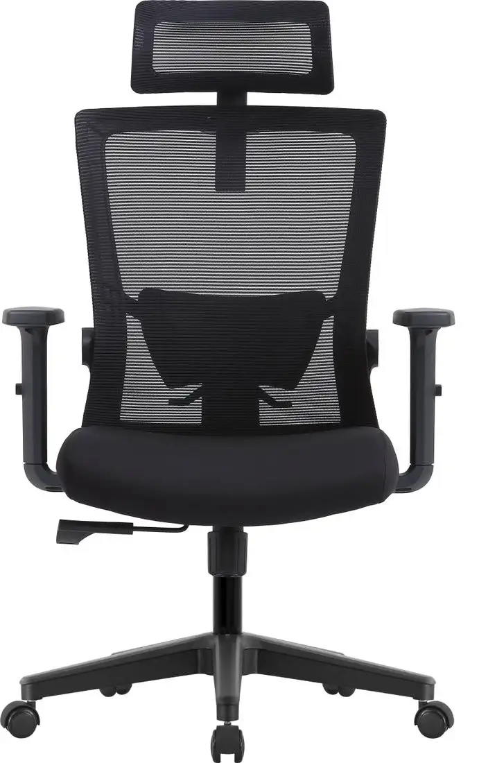 Офисное кресло Evolution ErgoLine 1 (черный) – фото товара