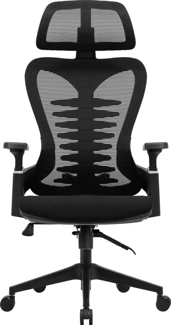 Офисное кресло Evolution HarmonySpine (черный) – фото товара