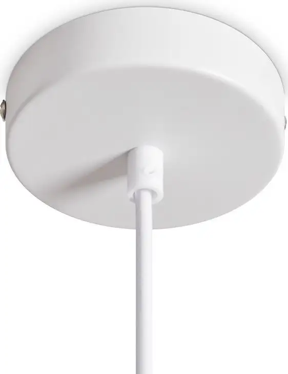 Подвесная люстра Freya Shapes FR5530PL-L12W – фото товара