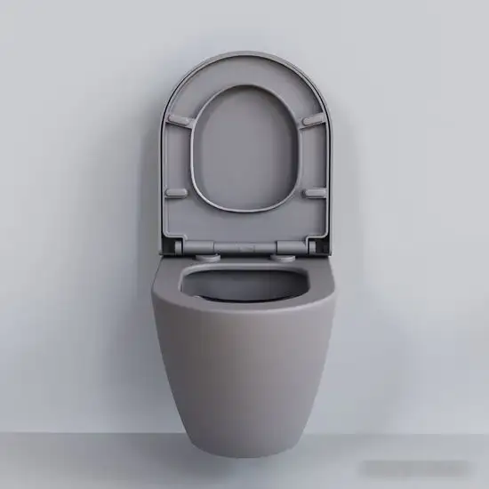 Унитаз Ambassador Queen 113T20301R (серый матовый, с толстым сиденьем) - фото товара