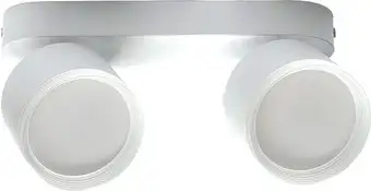 Спот TruEnergy 21039 – изображение в каталоге