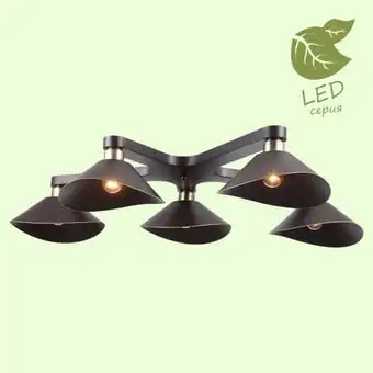 Подвесная люстра Lussole LOFT GRLSP-9535 – изображение в каталоге