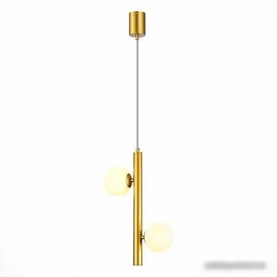 Точечный светильник ST Luce SL1185.203.02 – фото товара