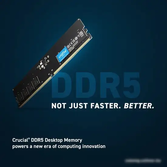 Оперативная память Crucial 32ГБ DDR5 5600 МГц CT32G56C46U5 – фото товара