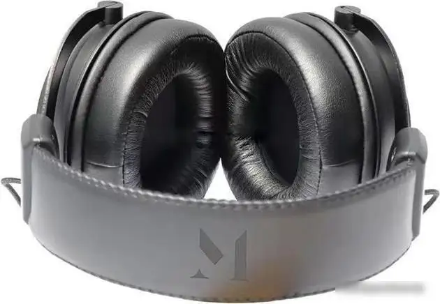 Наушники Music Public Kingdom HP501 – фото товара