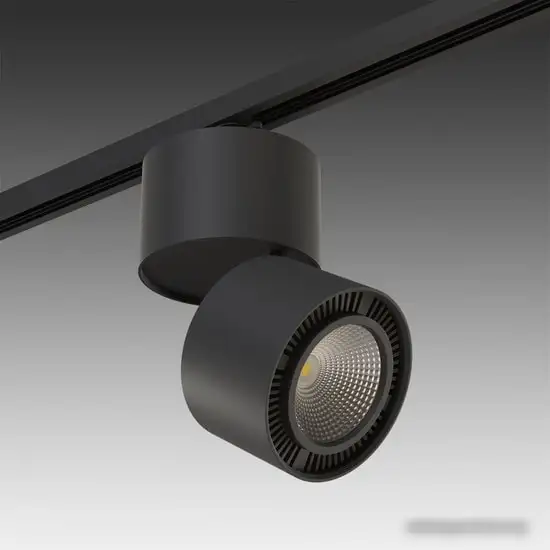 Трековый светильник Lightstar Forte Muro A1T213817 – фото товара