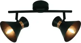 Точечный светильник Arte Lamp Baltimore A1406AP-2BK – изображение в каталоге