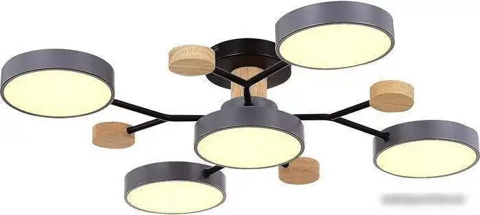 Припотолочная люстра Evoluce Faema SLE6006-702-05 – фото товара