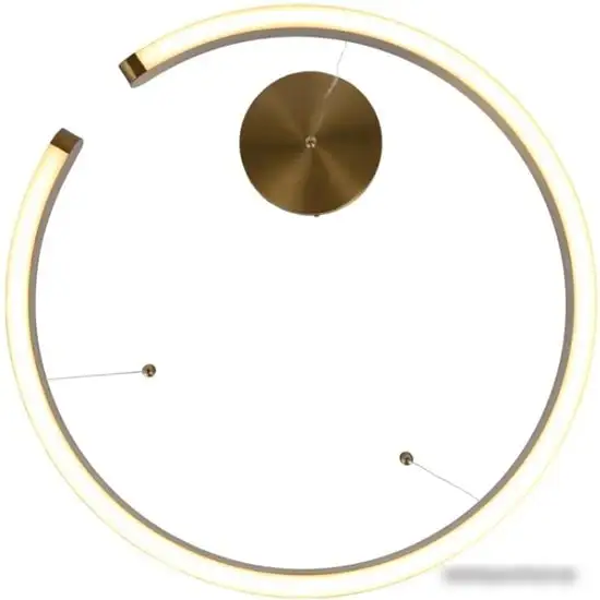 Подвесная люстра LOFT IT Ring 10013M – фото товара