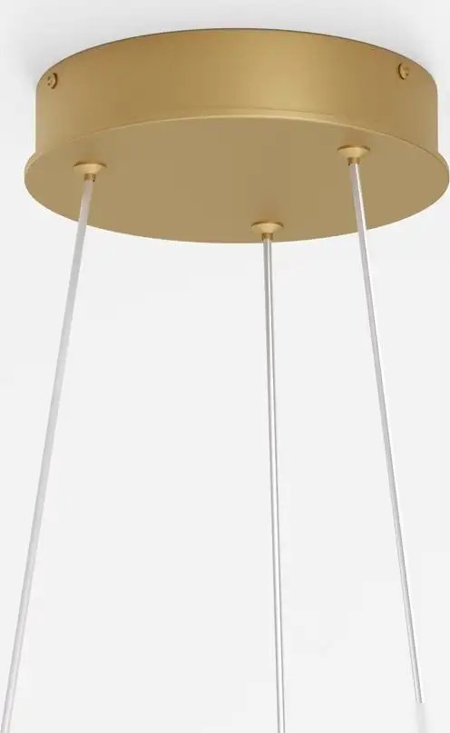 Подвесная люстра Maytoni Rim MOD058PL-L54BSK – фото товара