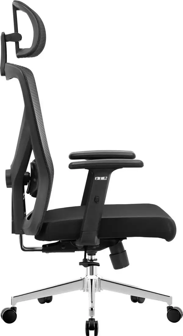 Офисное кресло Evolution ErgoLine 2 (черный) – фото товара