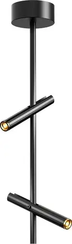 Припотолочная люстра ST Luce SL6210.403.02 – изображение в каталоге