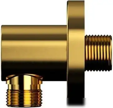 Шланговое подключение Whitecross Y1008GL (золото) - фото товара