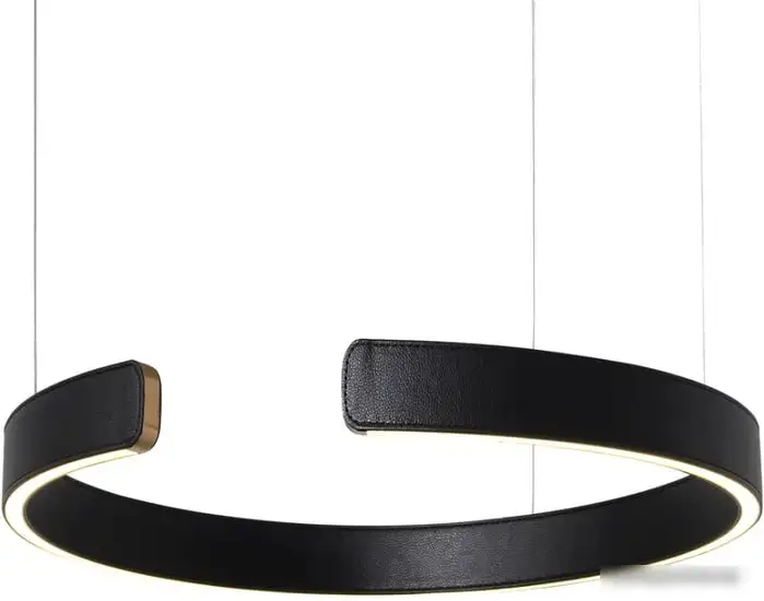 Подвесная люстра LOFT IT Ring 10025/400 Black – фото товара