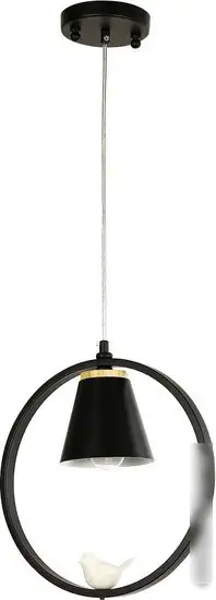 Подвесная люстра F-Promo Uccello 2938-1P – фото товара