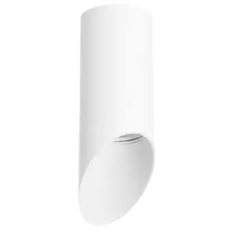 Точечный светильник Lightstar Rullo R43636 – изображение в каталоге