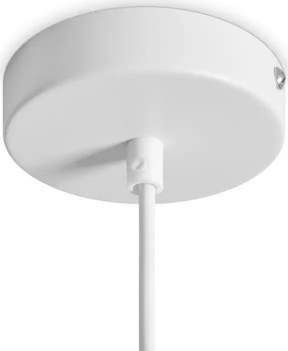 Подвесная люстра Freya Shapes FR5530PL-L10W – фото товара