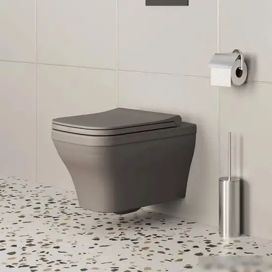 Сиденье для унитаза Ambassador Benefit 202T20301S (серый матовый) – фото товара