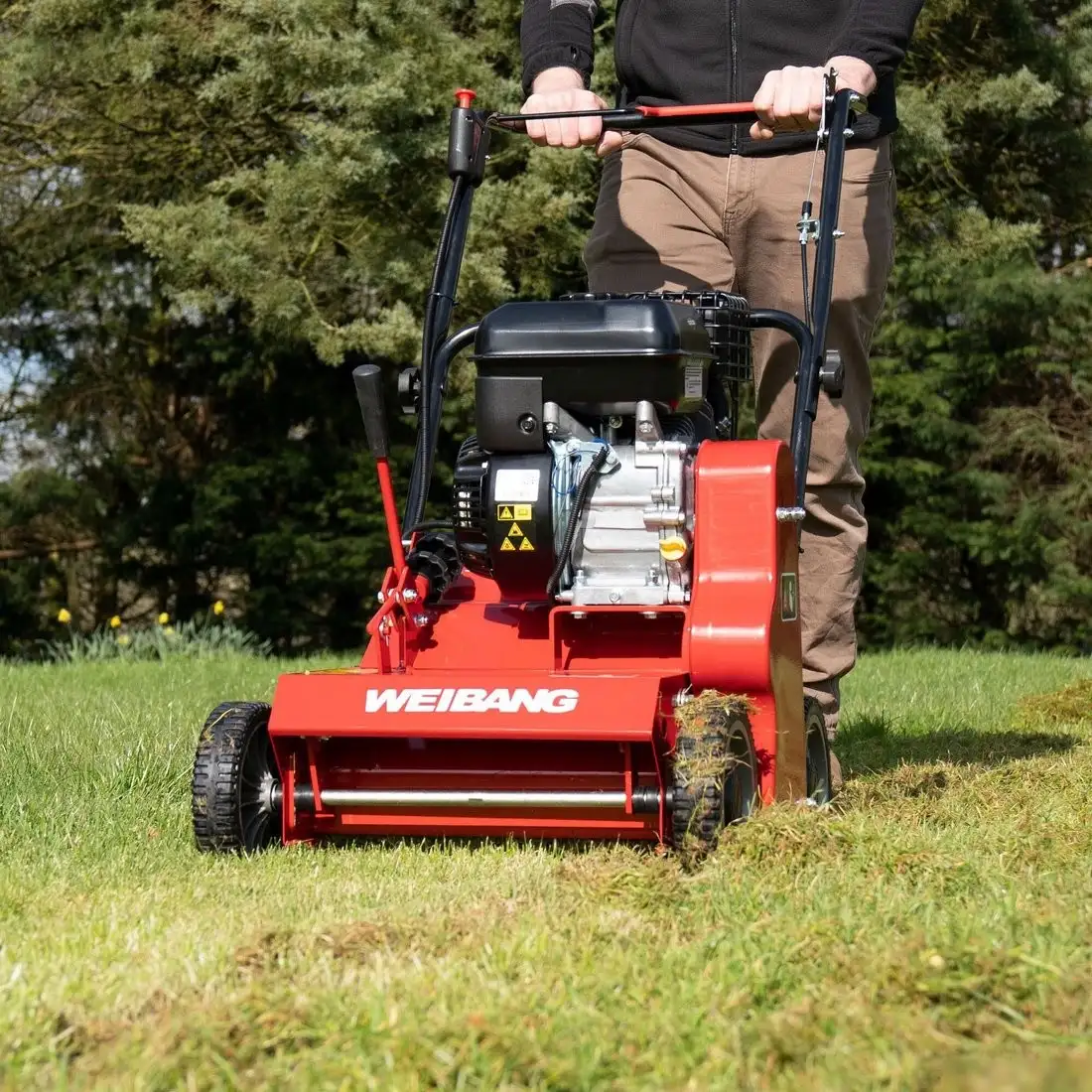 Скарификатор Weibang WB 384RB – фото товара