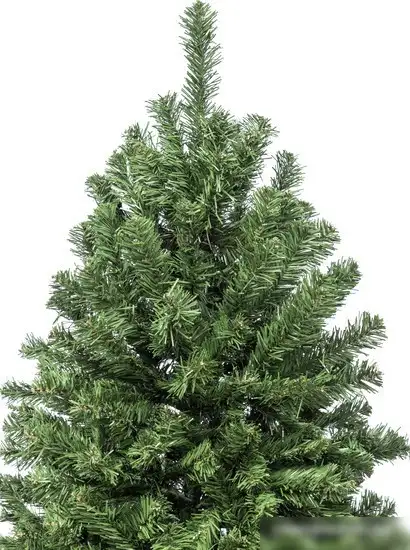 Ель Winter Time NRV08-1537T 2.45 м – фото товара