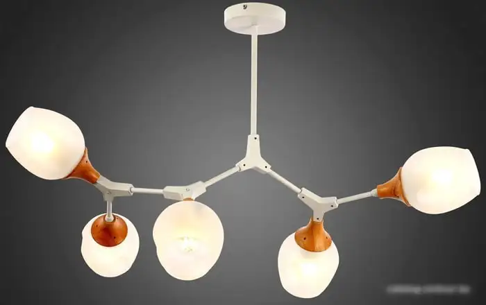 Люстра средней высоты Evoluce Ciotolla SLE113502-05 – фото товара