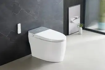Унитаз приставной Roxen Smart Simple 670310-02 - изображение в каталоге