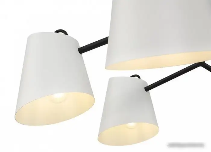 Подвесная люстра Freya Nordic FR5127PL-06B – фото товара