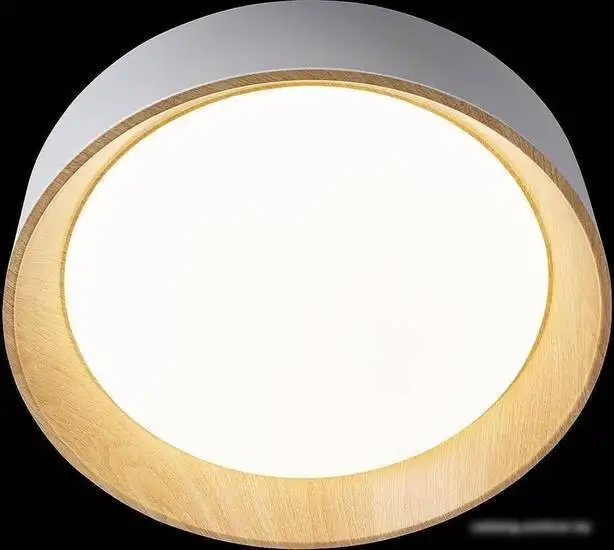 Припотолочная люстра LOFT IT Zenith 10210/1W Black – фото товара