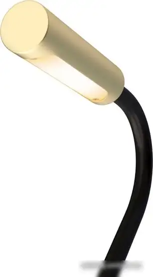Бра Maytoni Stem C035WL-L3MG3K – фото товара