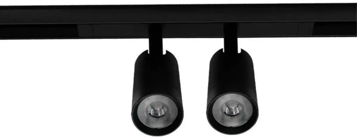 Трековый светильник Aployt Magnetic Track 220 APL.0204.00.18 – фото товара