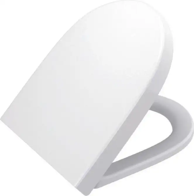 Унитаз напольный BelBagno Flay-R BB2149CPR/BB2149T/BB865SC - фото товара