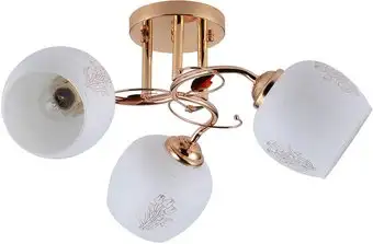 Escada Anemone 1121/3PL – изображение в каталоге