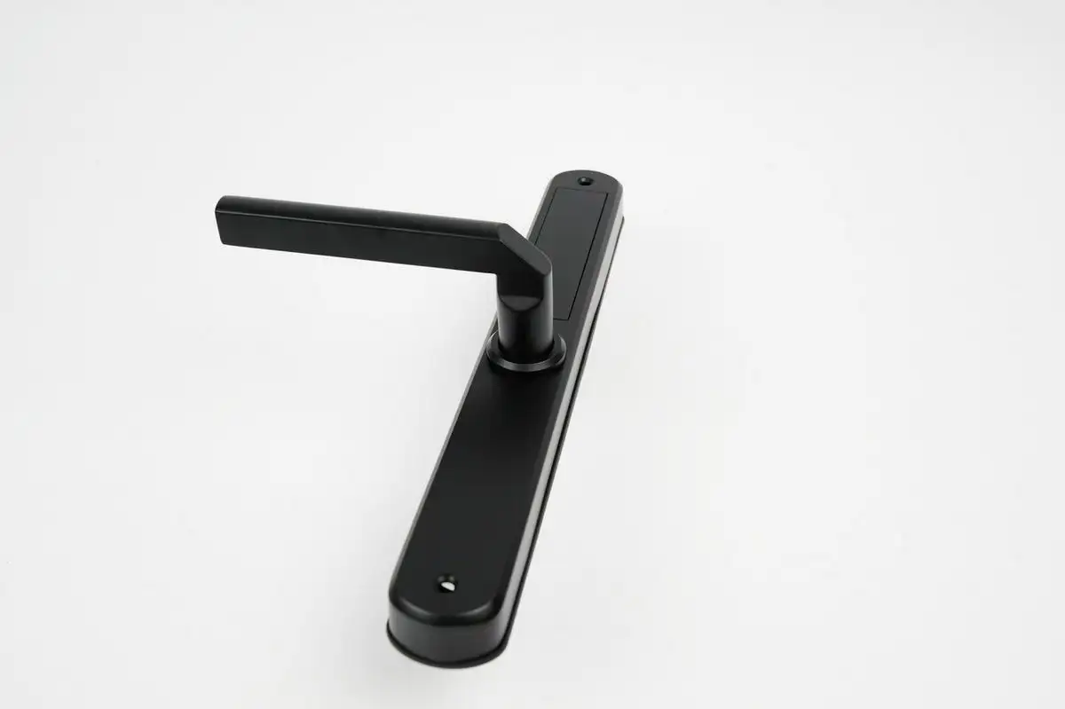 Дверной замок Roome Waterproof TTLock Digital Fingerprint Aluminum Door Lock A2 – фото товара