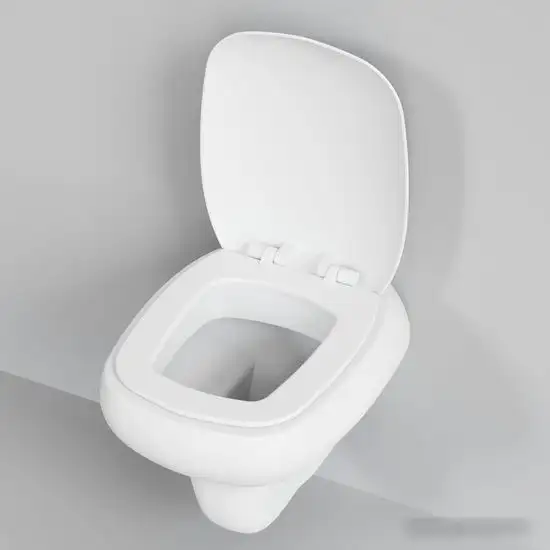 Унитаз Ambassador Diamond 123T20101R (белый матовый) - фото товара