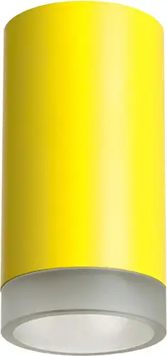 Спот Lightstar Rullo R43330 – изображение в каталоге