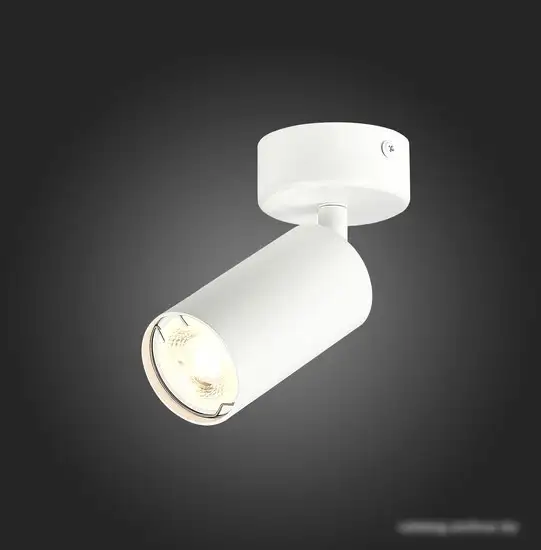 Спот ST Luce Dario ST303.502.01 – фото товара