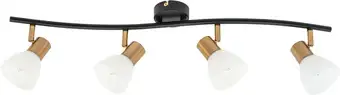 Спот Arte Lamp Falena A3117PL-4BK – изображение в каталоге