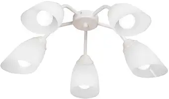 Припотолочная люстра Vitaluce V31950/5PL – изображение в каталоге