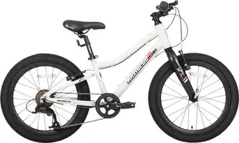 Детский велосипед Maxiscoo 3bike 20 L 2025 MSC-M3-2003 (серый) – изображение в каталоге