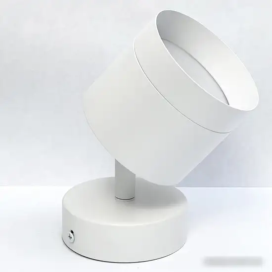 Спот TruEnergy 21027 – фото товара