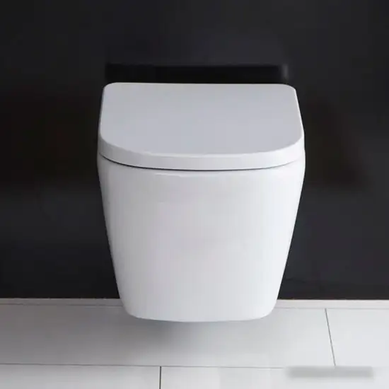 Унитаз BelBagno Alban BB120CHR - фото товара