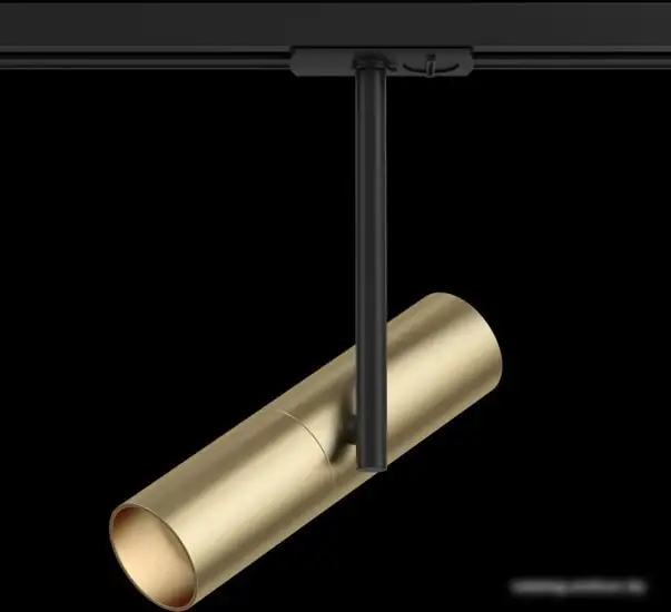 Трековый светильник Maytoni TR005-1-GU10-BG TR005-1-GU10-BG – фото товара