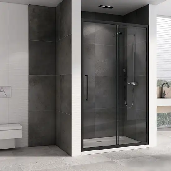 Душевая дверь Abber Schwarzer Diamant AG30100BH - фото товара