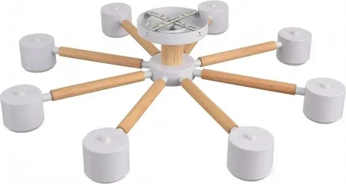 Припотолочная люстра Lumion Vudi 8306/8C – фото товара