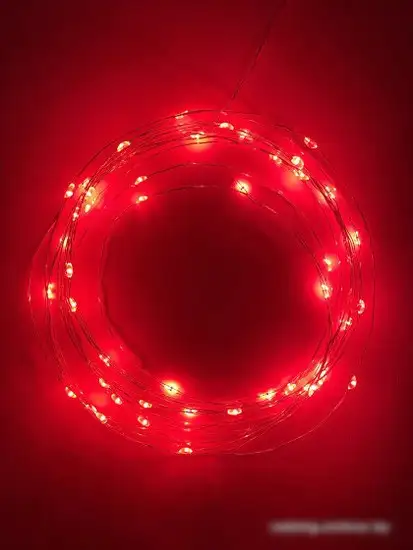 Разветвитель для гирлянд ЭРА ERAPS-OR – фото товара