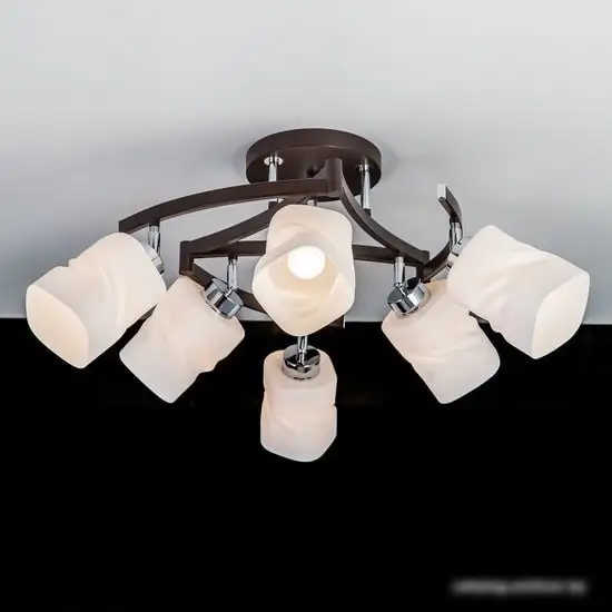 Припотолочная люстра Citilux Берта CL126162 – фото товара