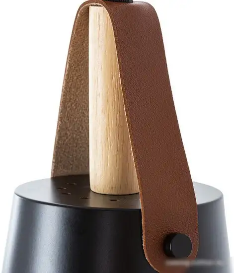 Светильник Arte Lamp Thomas A7032SP-1BK – фото товара